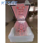 800usd Kfsee 1Pcs A Set Weibog ins Castle Home Sauna Body Steamer