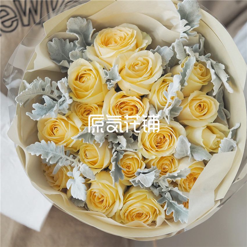 原气花铺-花店-上海-北京香槟Pro--香槟玫瑰银叶菊混合花束-5