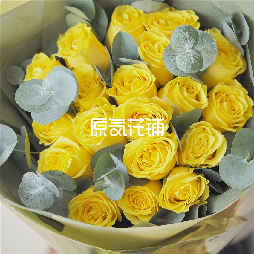 原气花铺-花店-上海-北京风琴--黄玫瑰尤加利叶混合花束-5