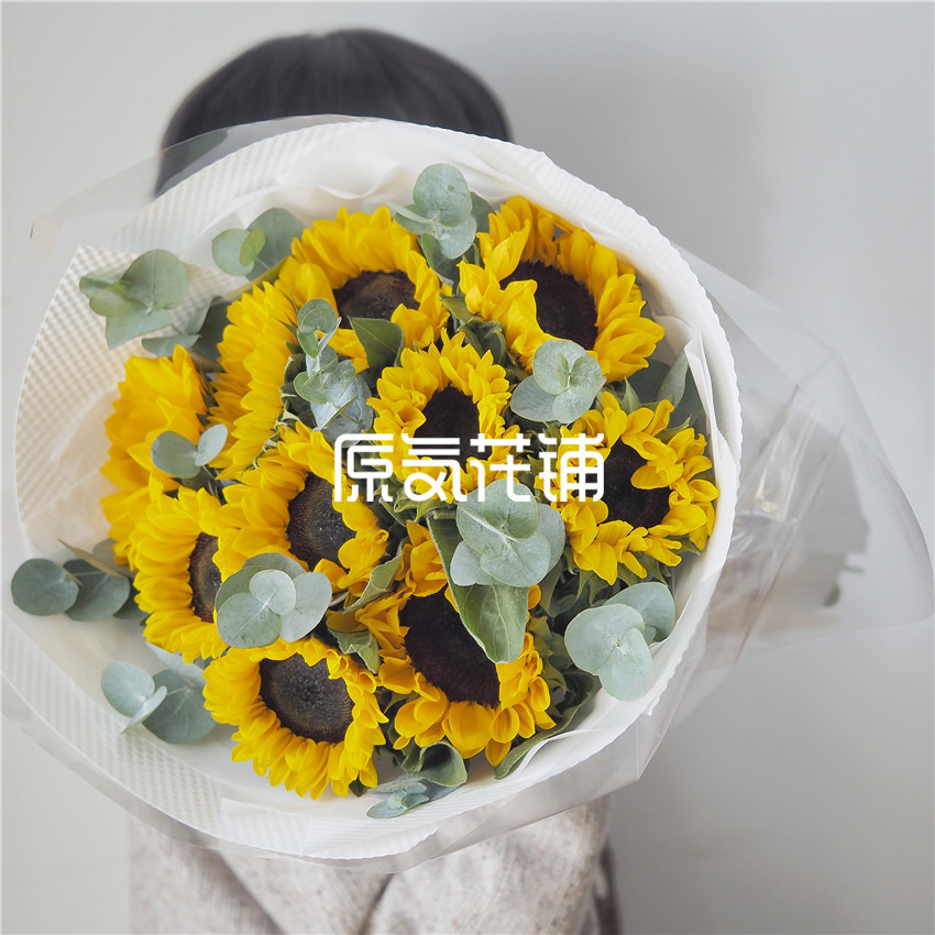 原气花铺-花店-上海-北京守护Pro--向日葵尤加利叶混合花束-3
