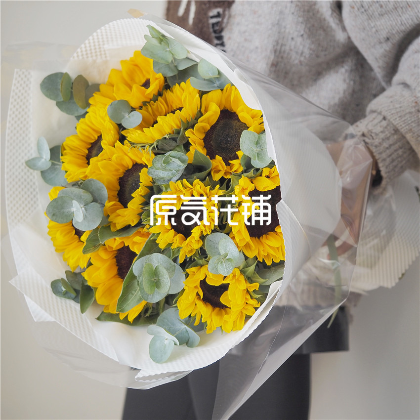 原气花铺-花店-上海-北京守护Pro--向日葵尤加利叶混合花束-4