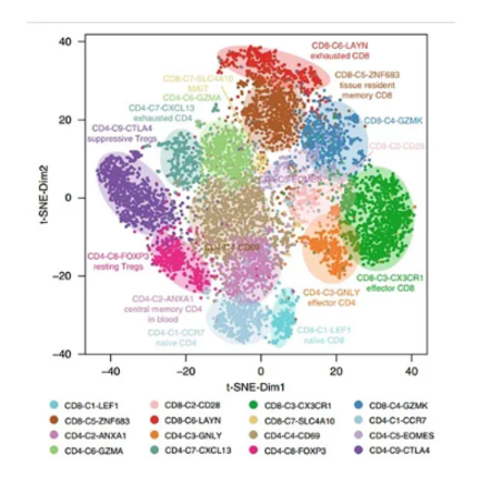 10X Genomics 单细胞转录组测序