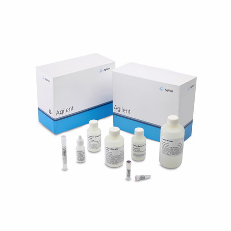 安捷伦 Agilent 定性 DNA 试剂盒-4