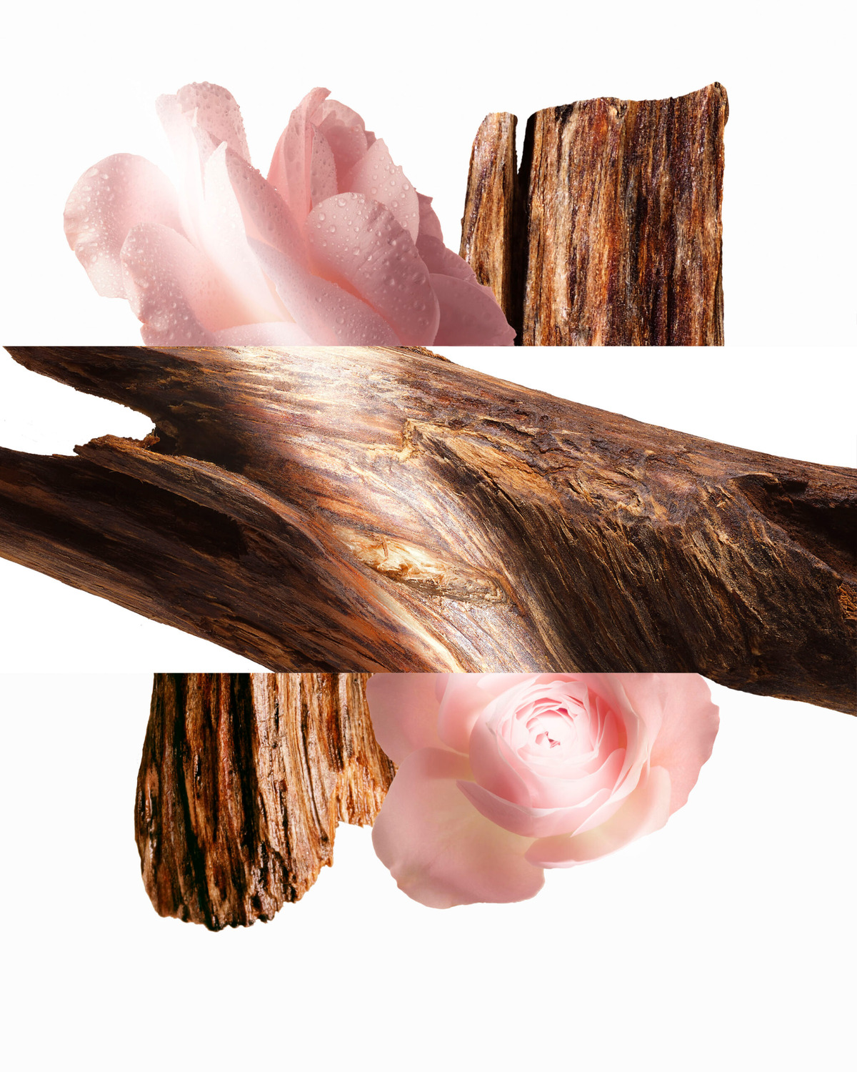 爱马仕闻香珍藏系列乌木灵犀香水登场