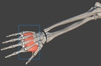高效练琴新方法