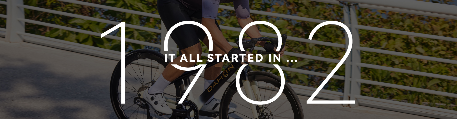 大行發(fā)展歷程