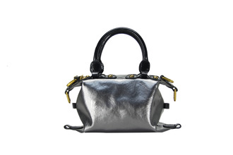 随变 transformer SLV M