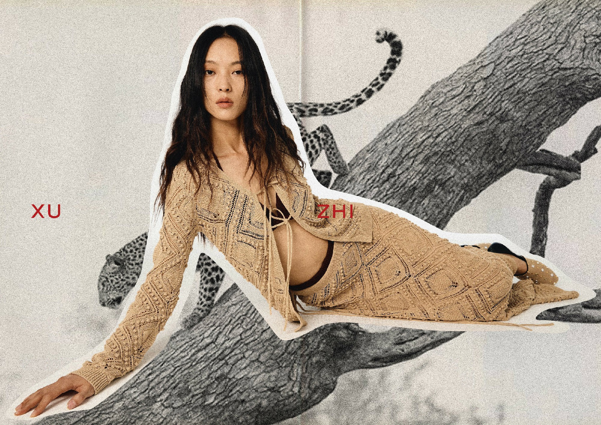 XU  ZHI