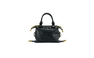 随变小号 黑鳄鱼