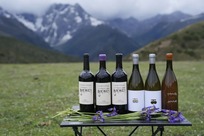 在春糖，看见不一样的中国酒：名庄酒先知 · 中国精品酒展区