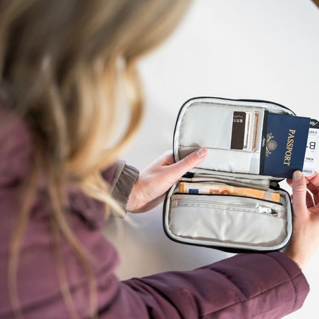 Travel Stash 防盗旅行护照包-1