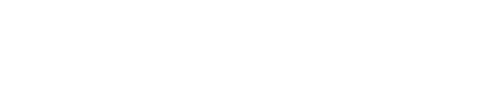 DOMIKEY官网_logo
