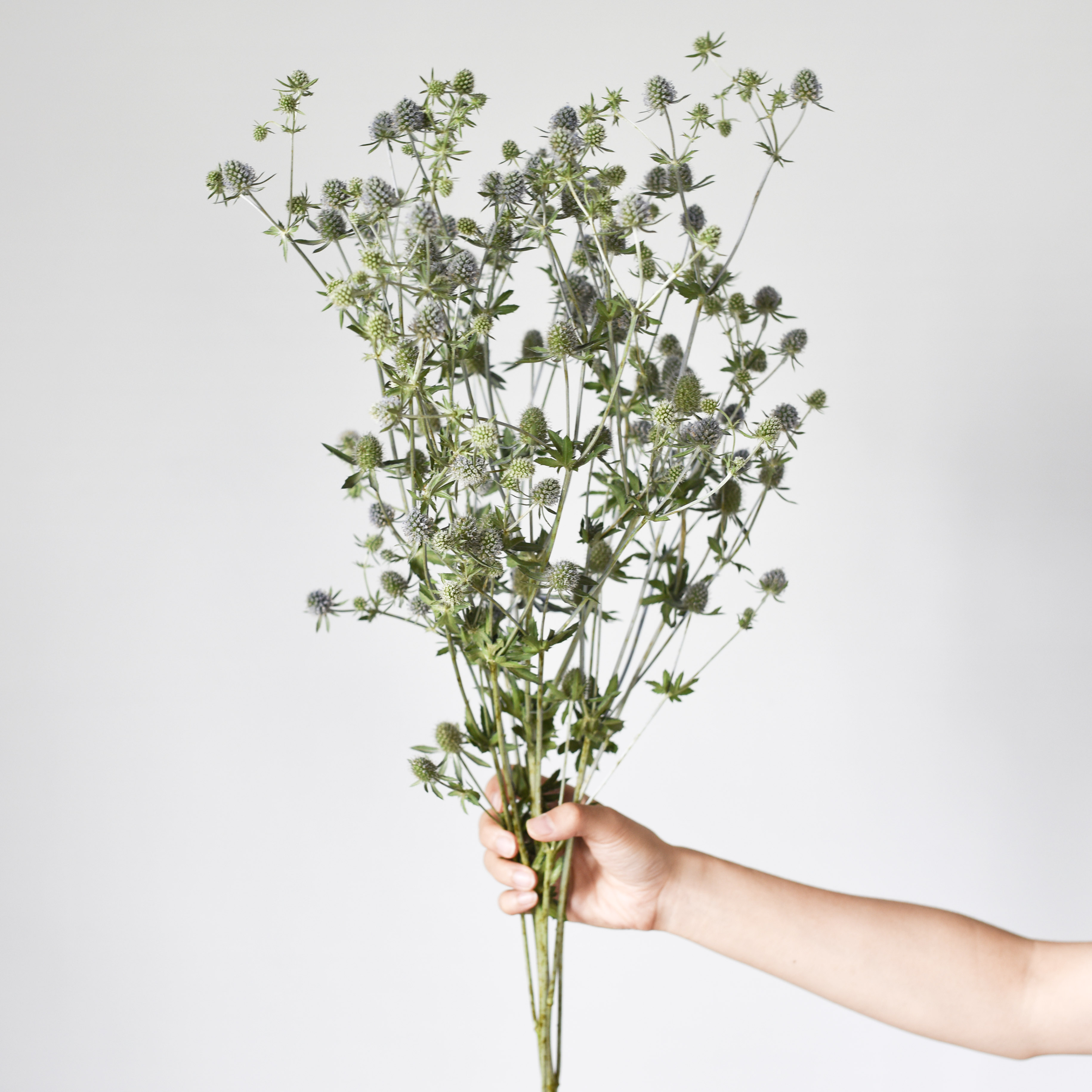 原气花铺 递送大自然原本的气息 新生代品牌花店