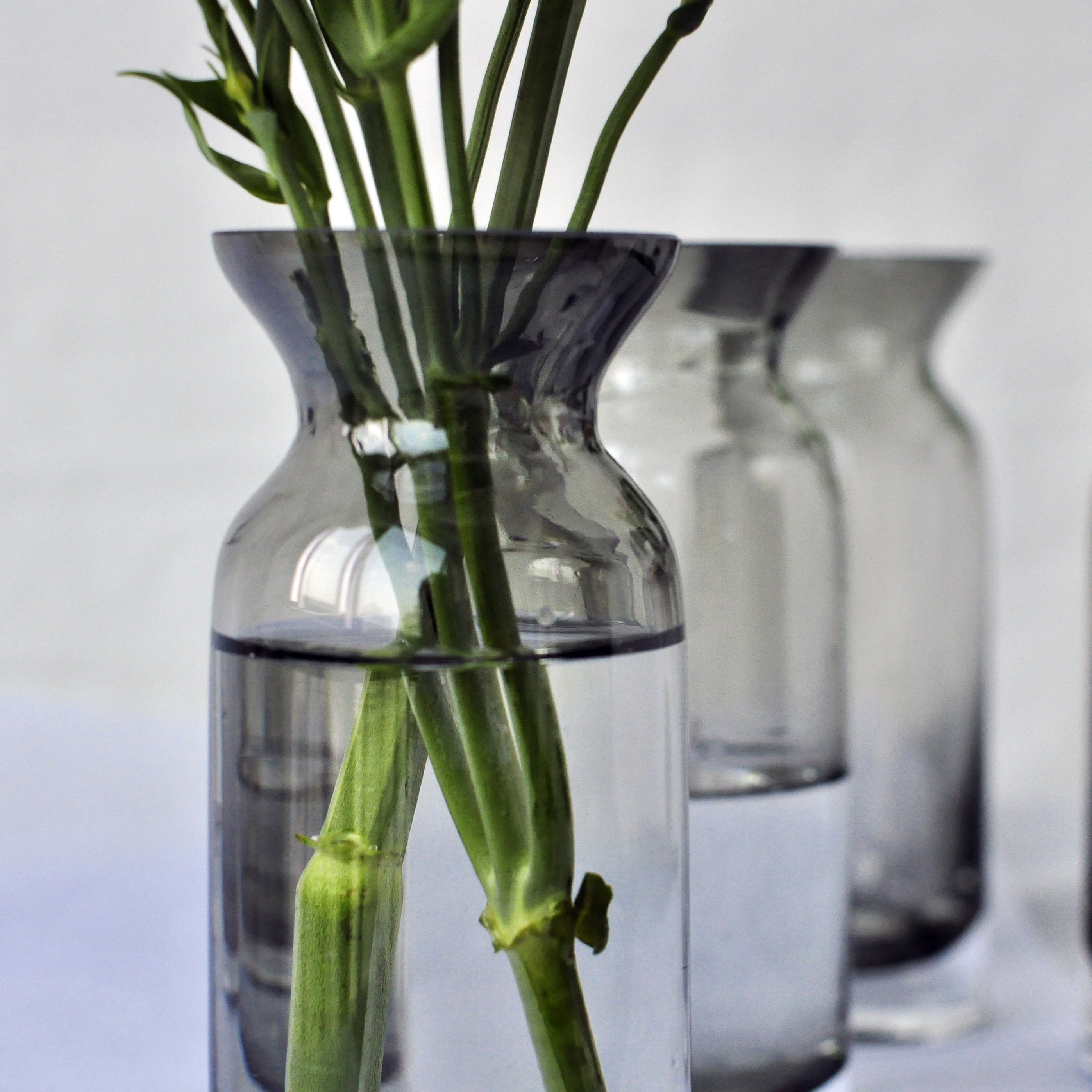 原气花铺 递送大自然原本的气息 新生代品牌花店 原气花铺 递送大自然原本的气息 新生代品牌花店