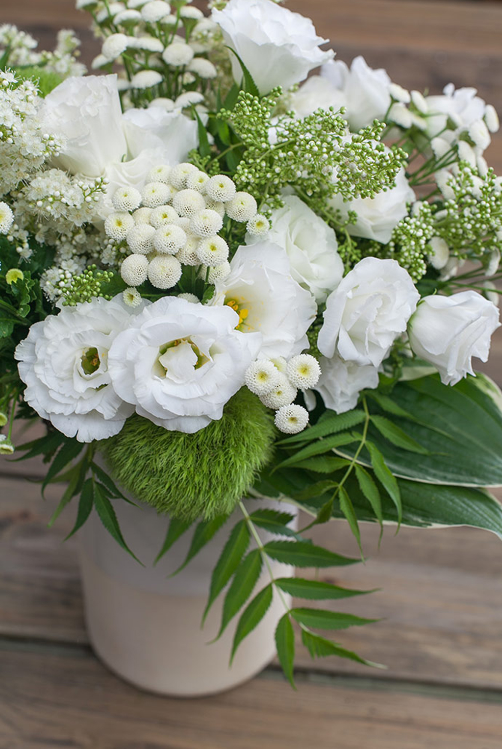 绽放(包月套餐)