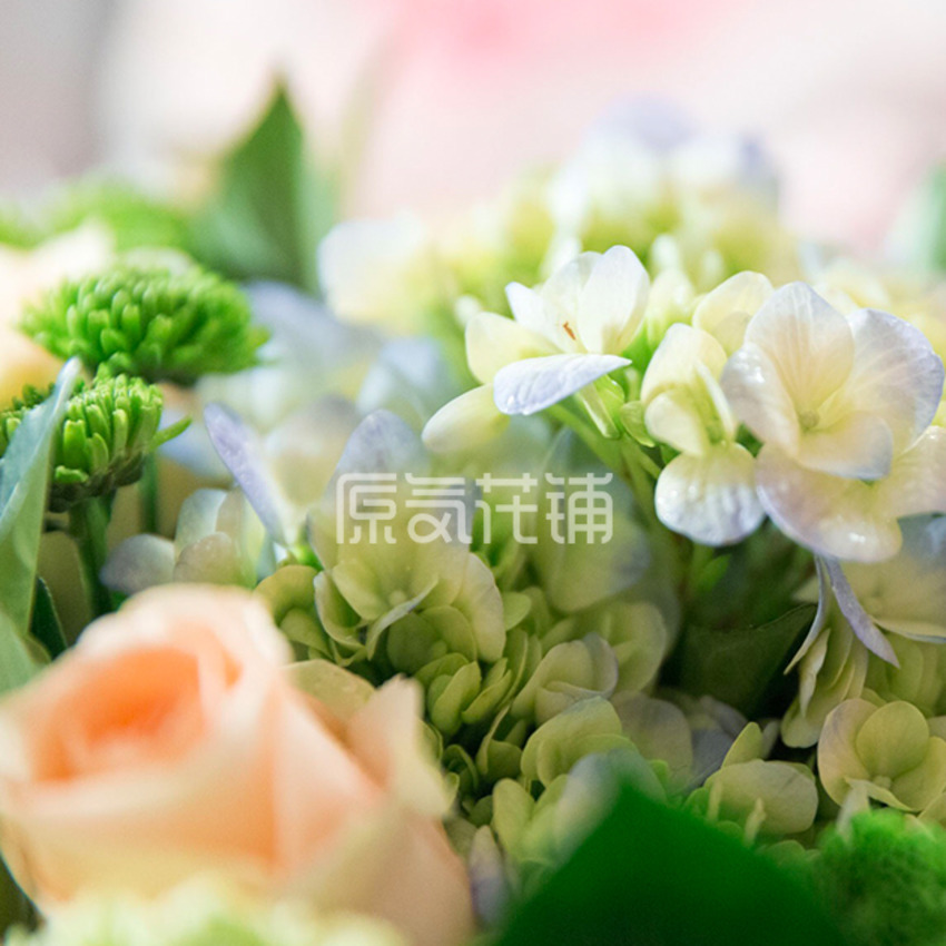 原气花铺-花店-上海-北京绿萝--黄绿色混合花束-3
