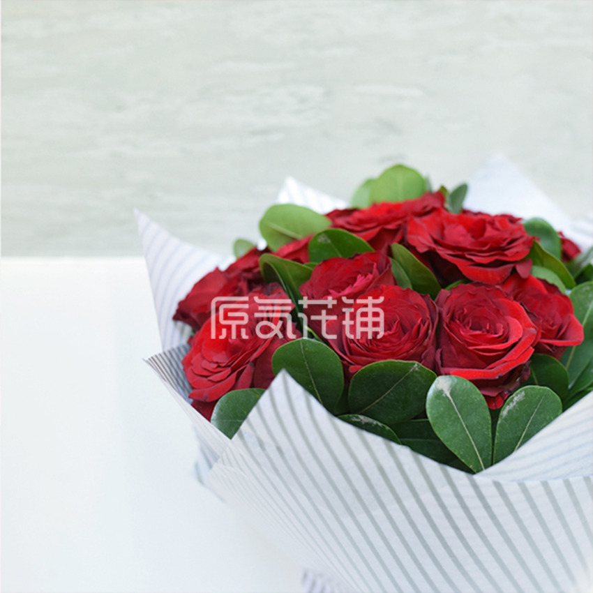 原气花铺-花店-上海-北京The Rose--纯色玫瑰花束-4