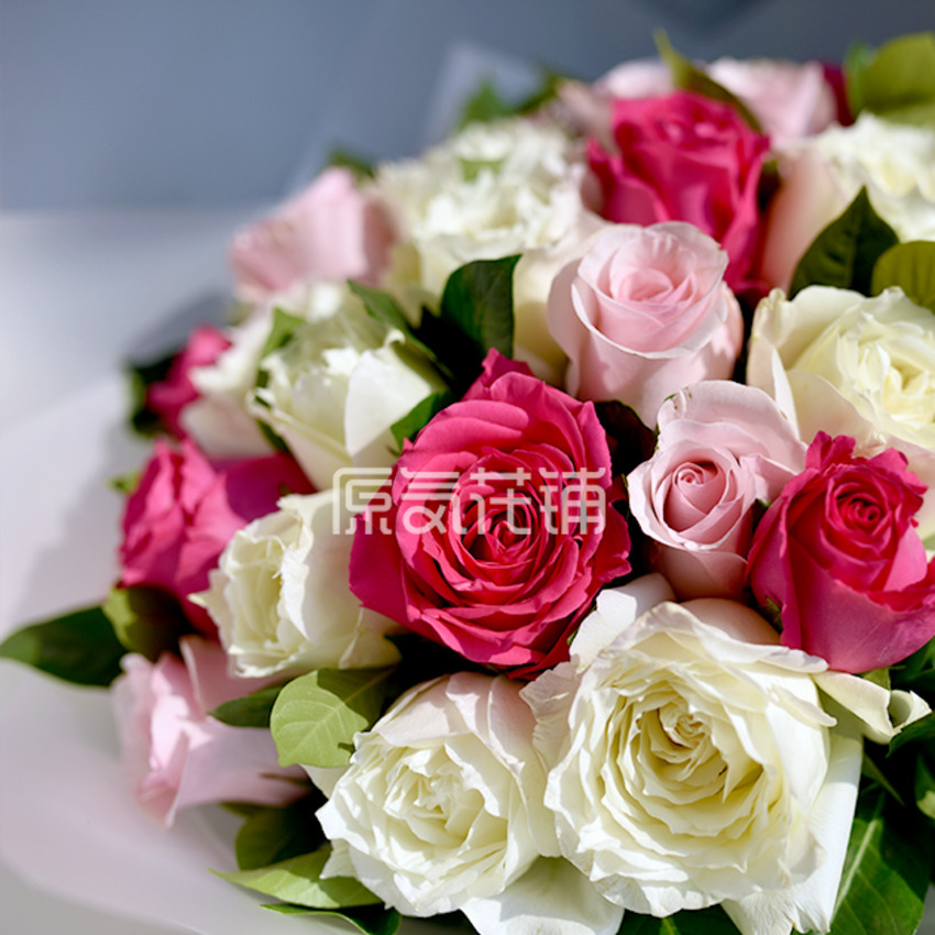 原气花铺-花店-上海-北京香颂--三色玫瑰花束-1