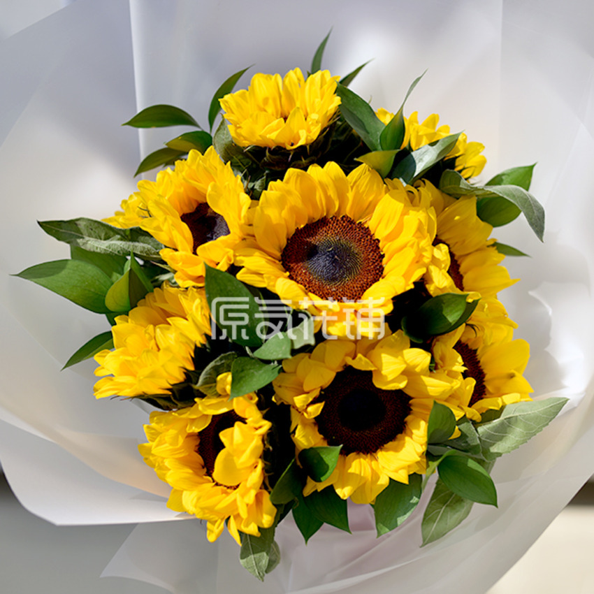 守护 向日葵花束 守护 向日葵花束