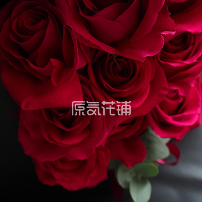 原气花铺-花店-上海-北京最爱——厄瓜多尔进口玫瑰花盒-6