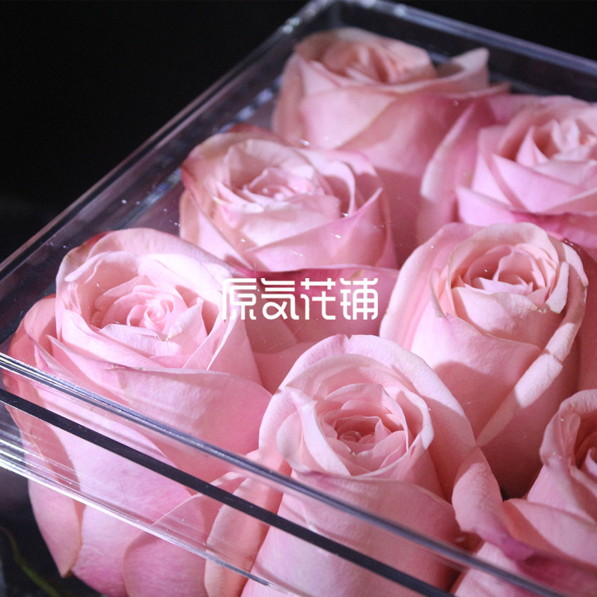原气花铺-花店-上海-北京透明——进口粉色香槟玫瑰水晶花盒-3