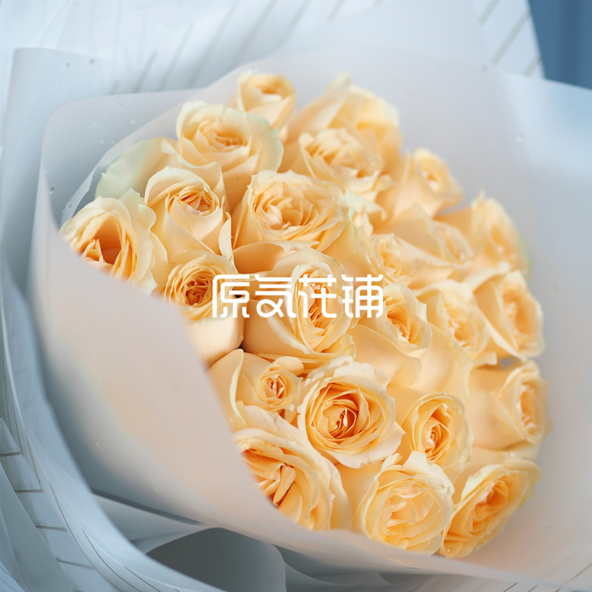 原气花铺-花店-上海-北京香槟--纯色花束-2