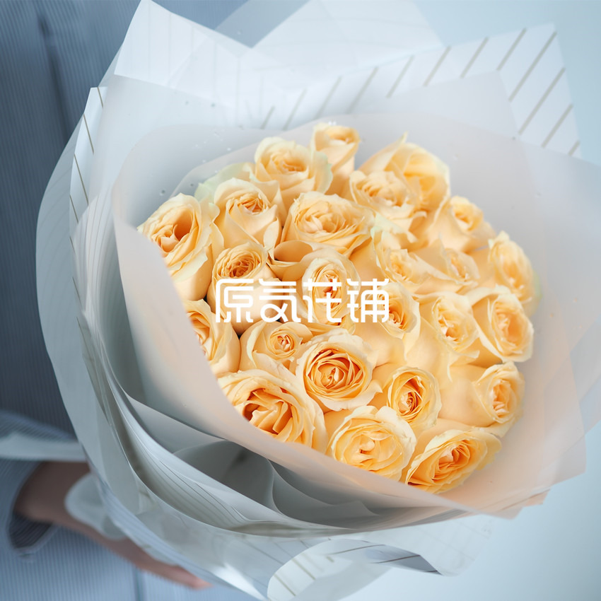 原气花铺-花店-上海-北京香槟--纯色花束-3