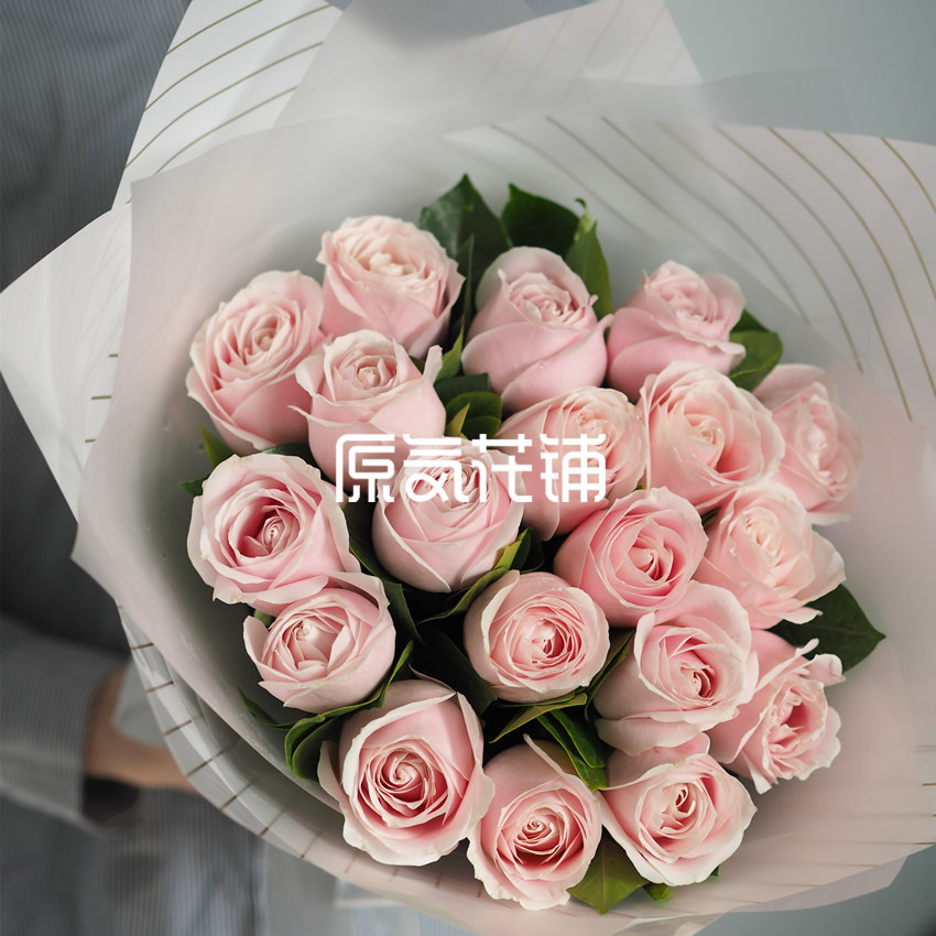 原气花铺-花店-上海-北京纯情--纯色玫瑰花束-2
