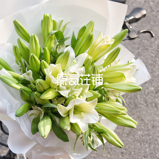 青柠--百合水仙素雅之选