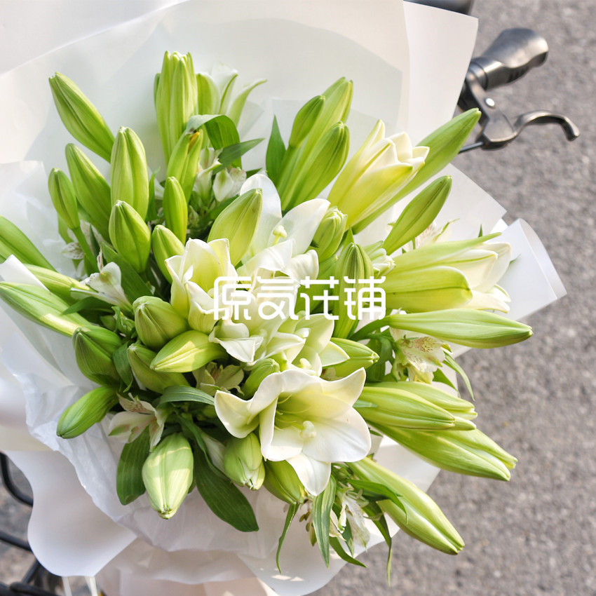 青柠 百合水仙素雅之选 青柠 百合水仙素雅之选