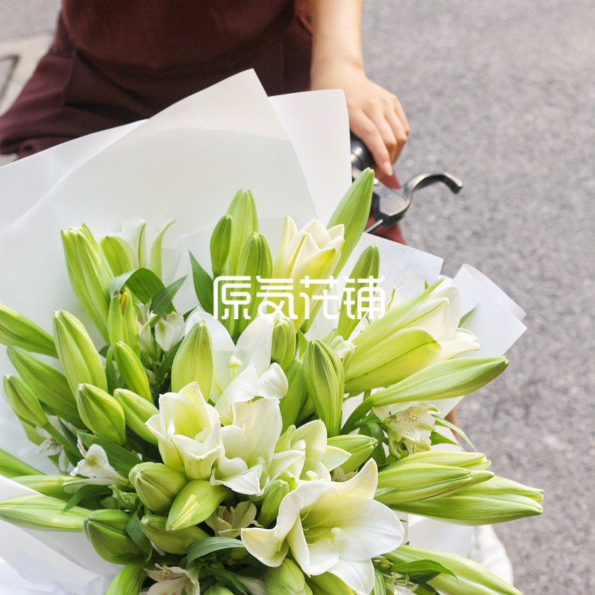 青柠 百合水仙素雅之选 青柠 百合水仙素雅之选