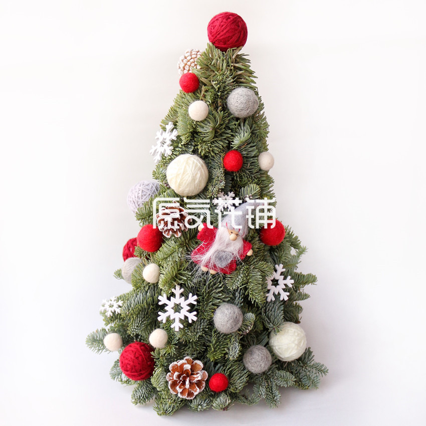原气花铺-花店-上海-北京小飞仙——西伯利亚诺贝松毛毡松果圣诞树-1