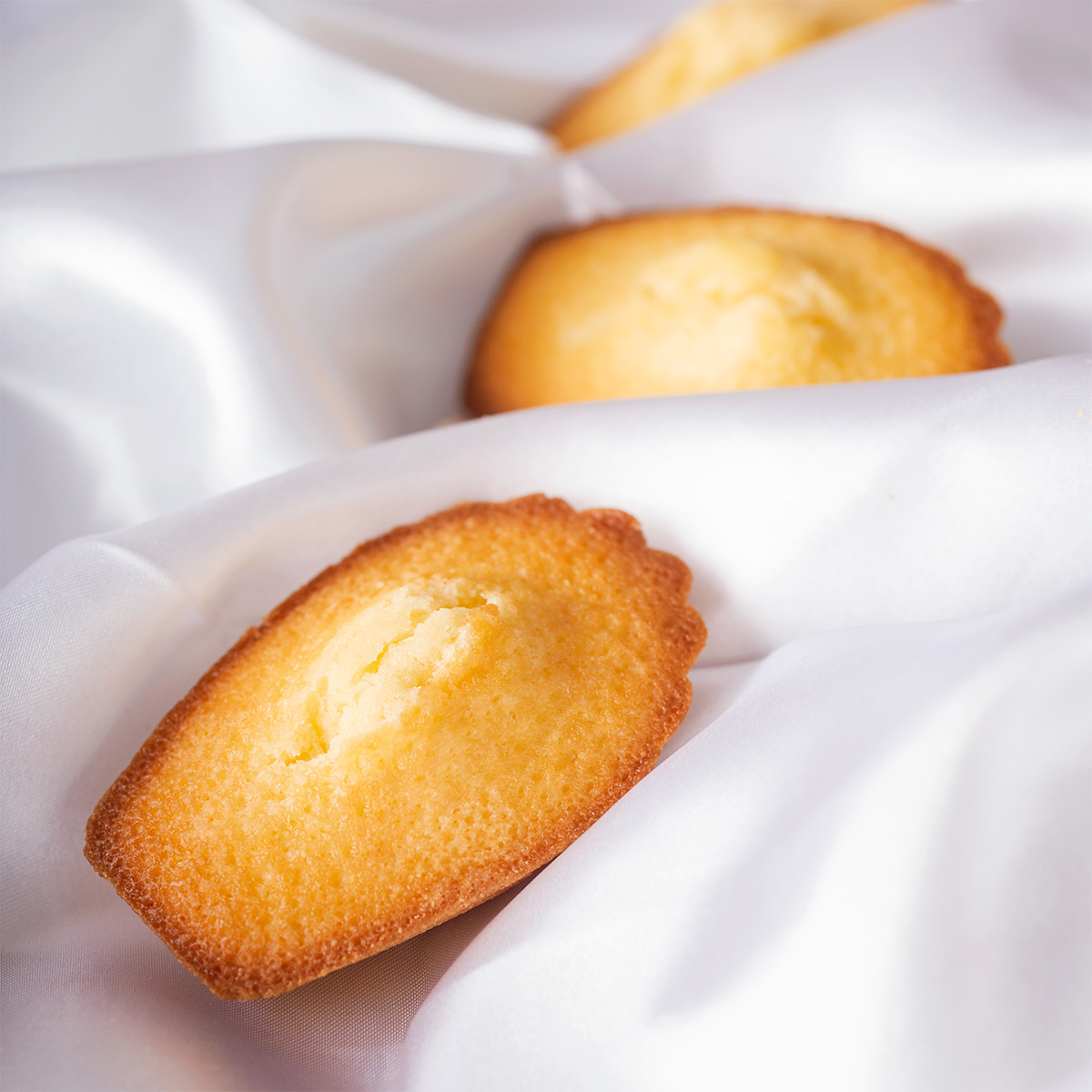 Madeleine玛德琳蛋糕臻品礼盒10枚入