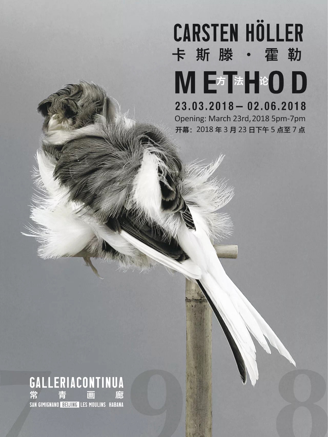 常青画廊（北京）将举办艺术家卡斯腾 · 霍勒新近作品展“方法论”