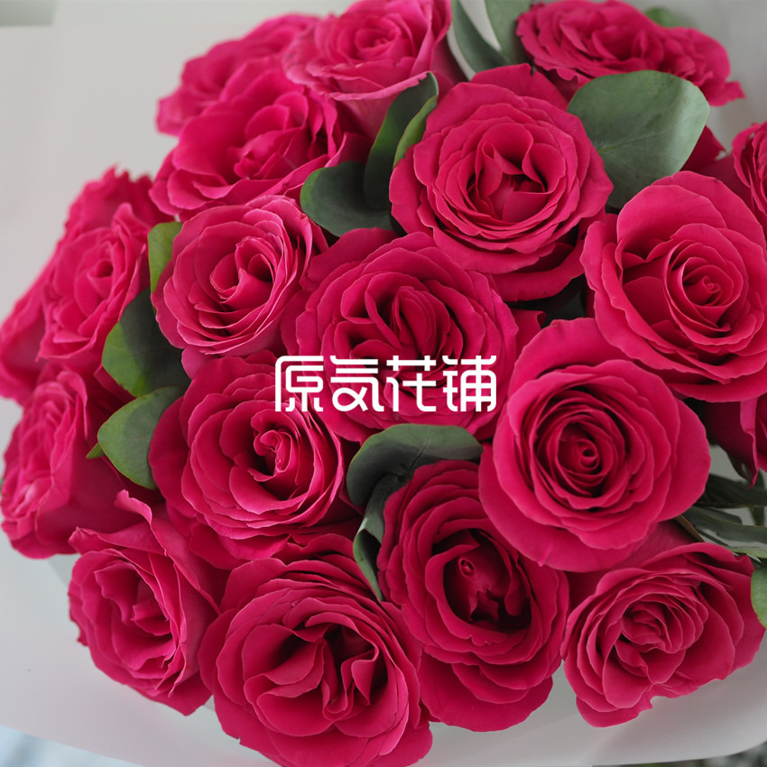 原气花铺-花店-上海-北京梦境--进口玫瑰花束-2