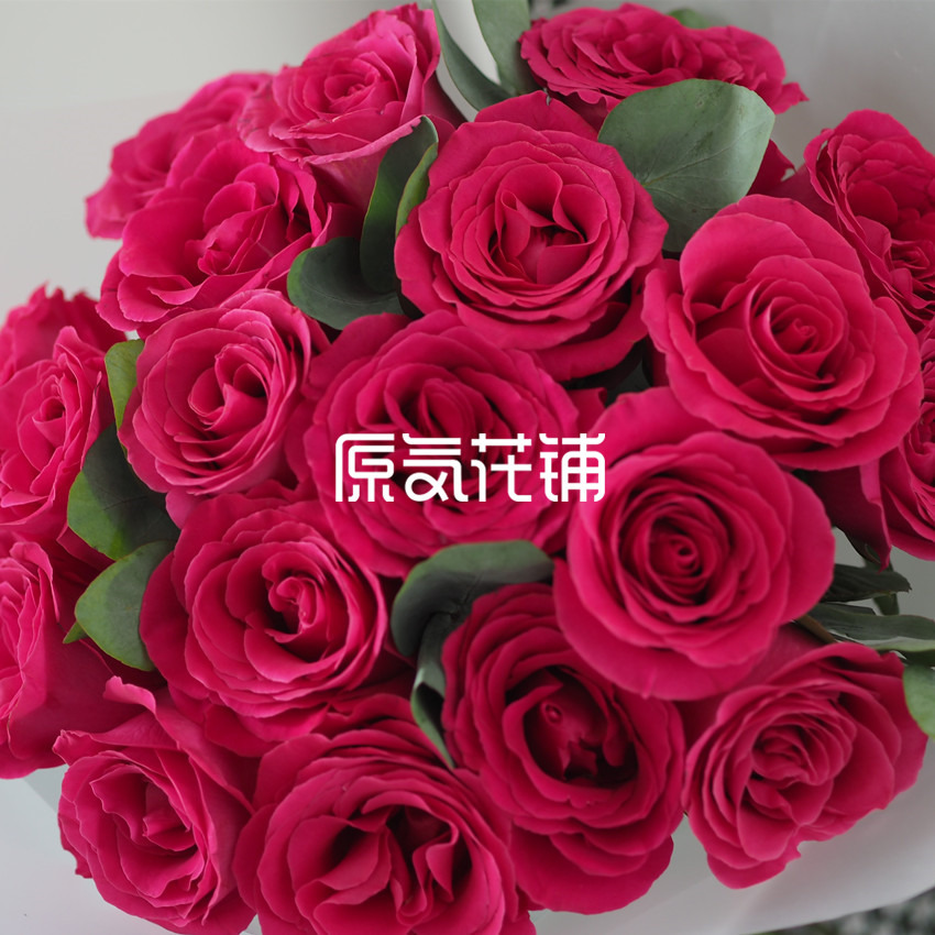 原气花铺-花店-上海-北京梦境--进口玫瑰花束-1