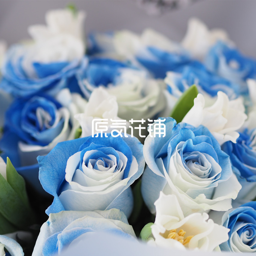 原气花铺-花店-上海-北京慕斯--进口玫瑰花束-5