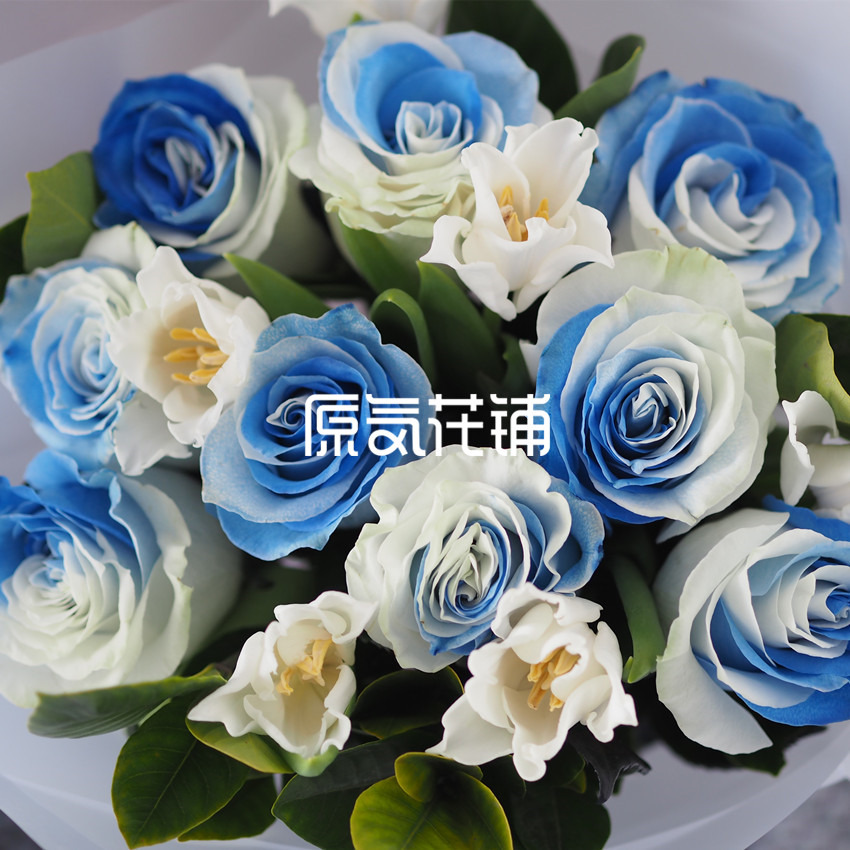 原气花铺-花店-上海-北京慕斯--进口玫瑰花束-4