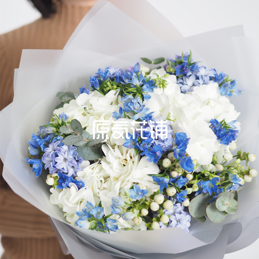原气花铺-花店-上海-北京繁星--蓝白色系花束-3