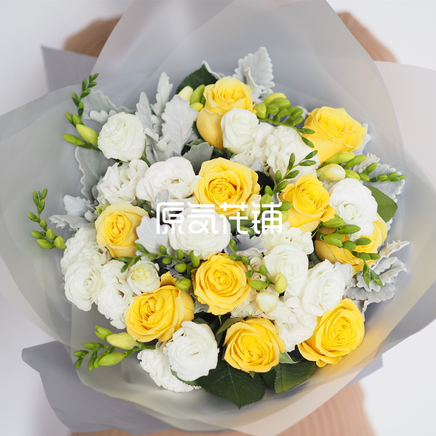 柠檬 黄白混搭花束 柠檬 黄白混搭花束