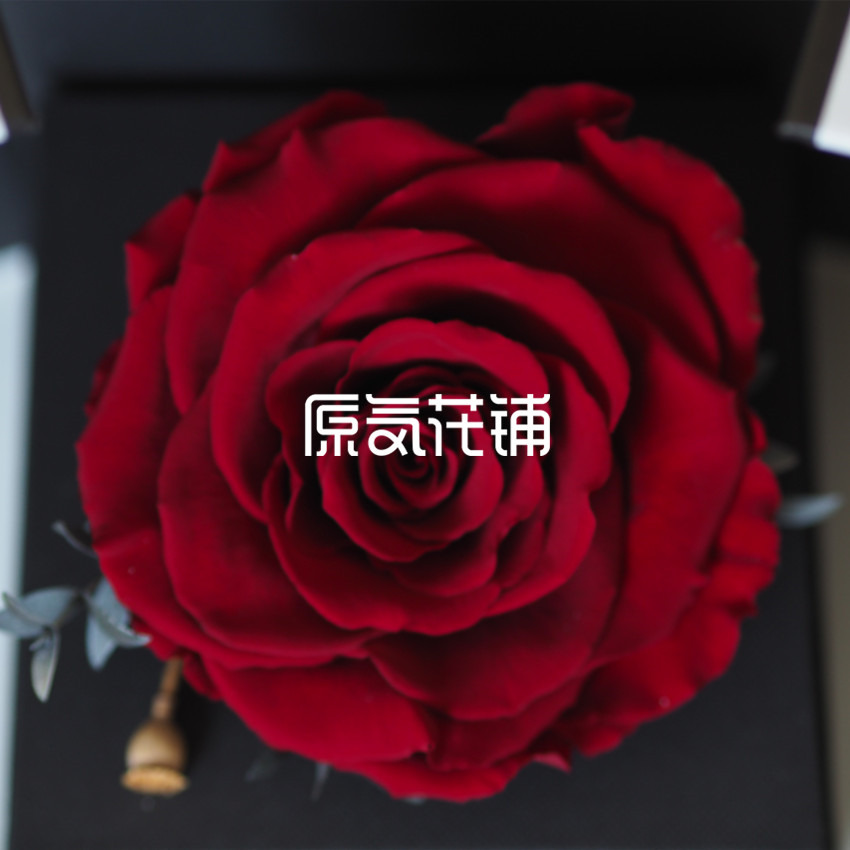 原气花铺-花店-上海-北京挚爱--进口巨型永生玫瑰花盒-6
