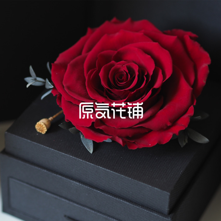 原气花铺-花店-上海-北京挚爱--进口巨型永生玫瑰花盒-1
