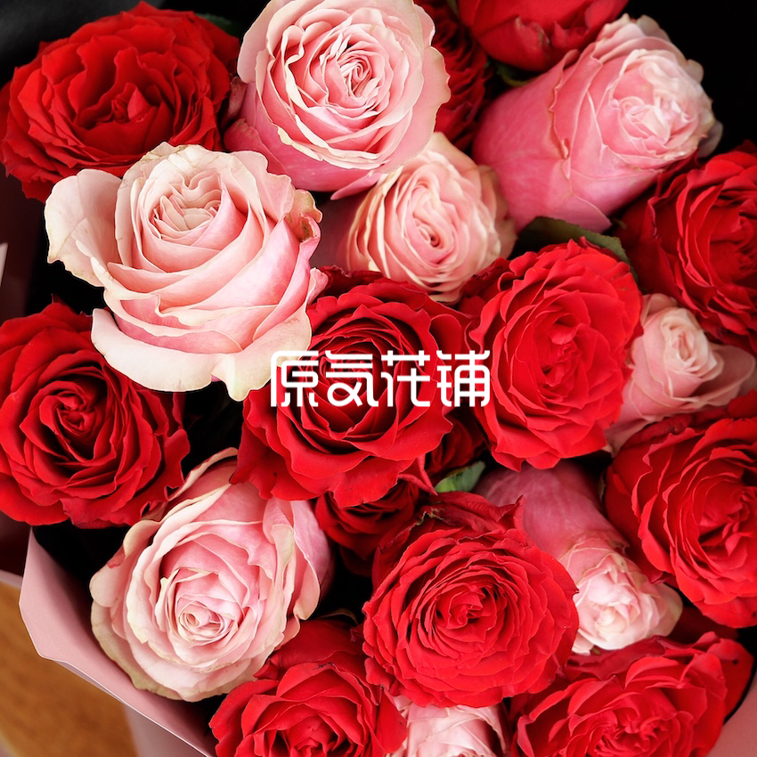 原气花铺-花店-上海-北京小红花--红粉双色玫瑰花束-5