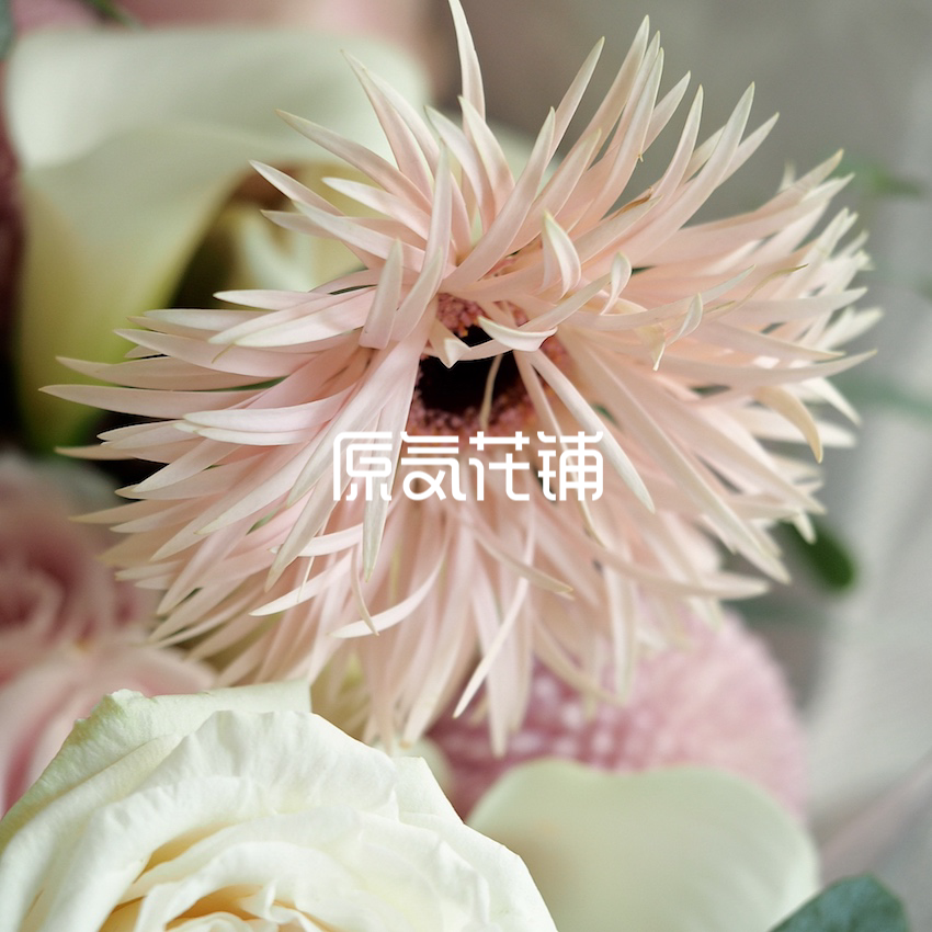 原气花铺-花店-上海-北京遇见--淡雅系花束-2