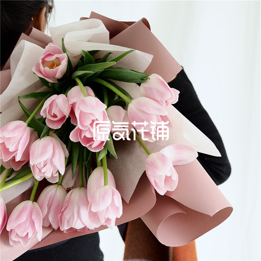 Gasupeu8cfvb8m Gasupeu8cfvb8m