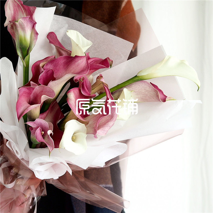 嫣红 进口海芋花束 嫣红 进口海芋花束