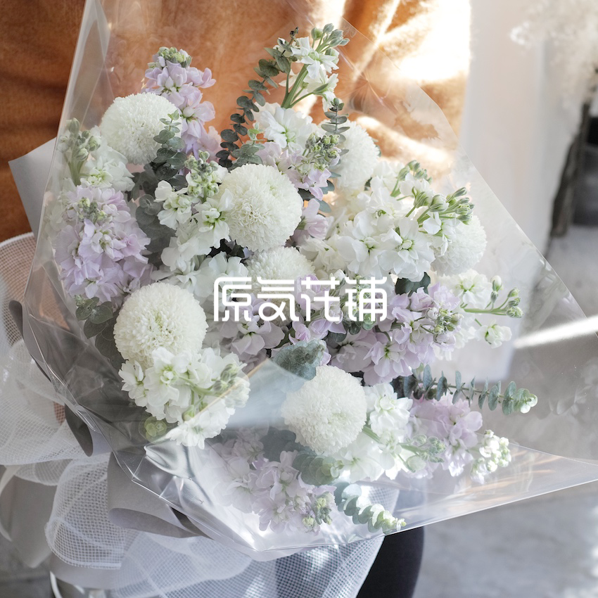 原气花铺-花店-上海-北京水晶--紫罗兰花束-2