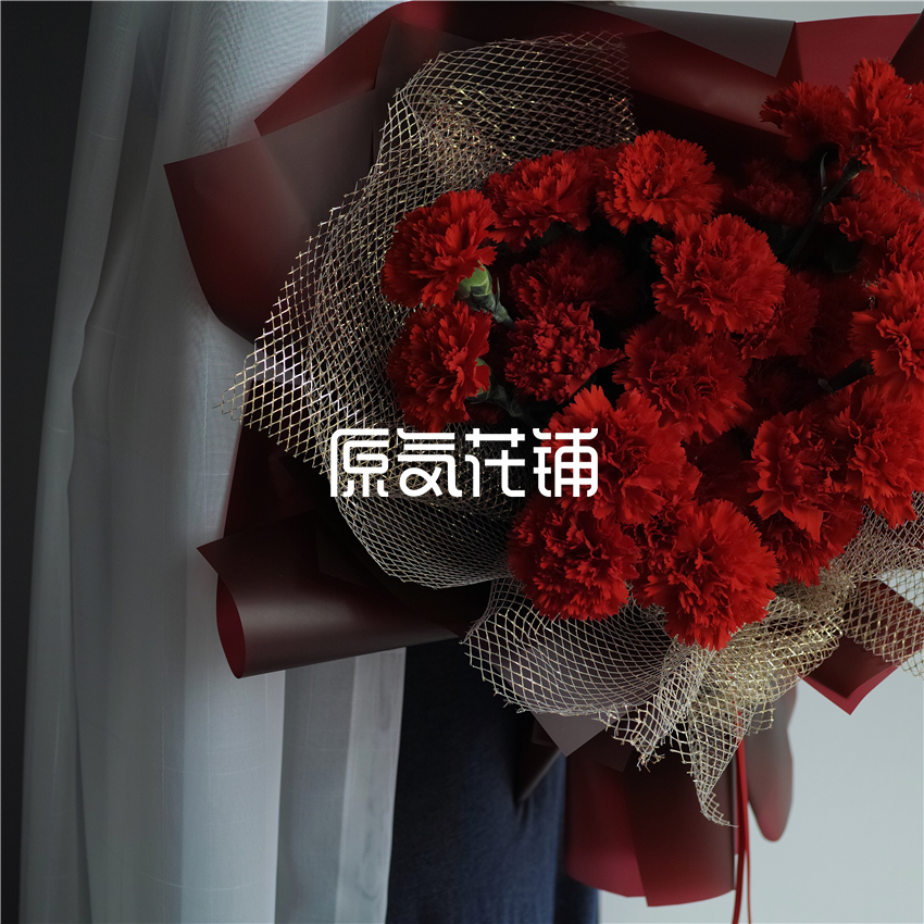 原气花铺-花店-上海-北京赞歌--红色康乃馨花束-2
