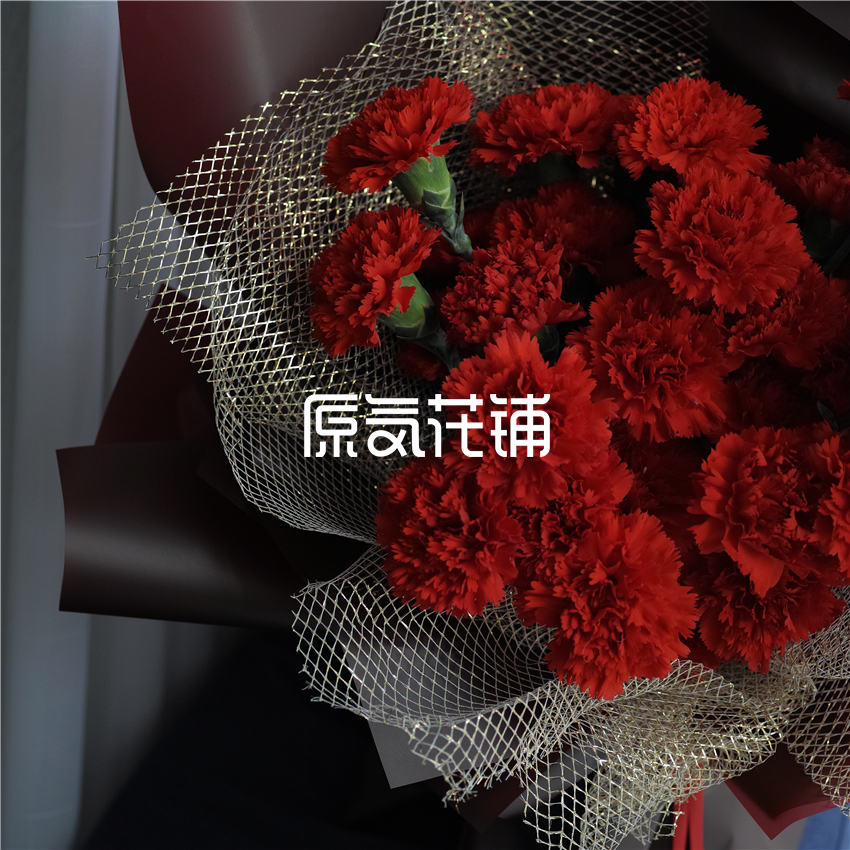 原气花铺-花店-上海-北京赞歌--红色康乃馨花束-4