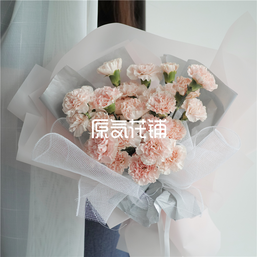 原气花铺-花店-上海-北京淡然--淡粉色康乃馨花束-6
